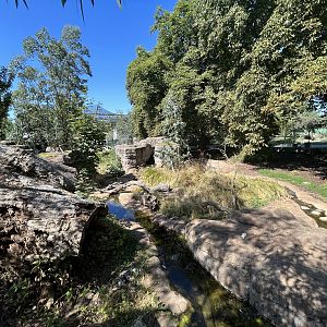 Tasmanian Devil Exhibit