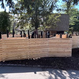 Future Children’s Maze?