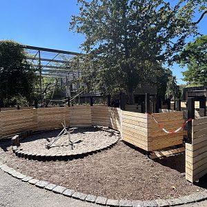 Future Children’s Maze?