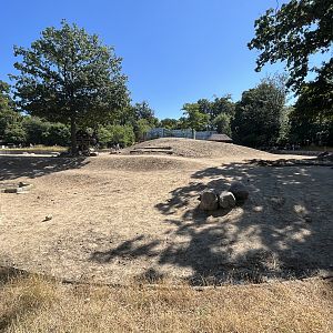 African Savanna - dust bowl