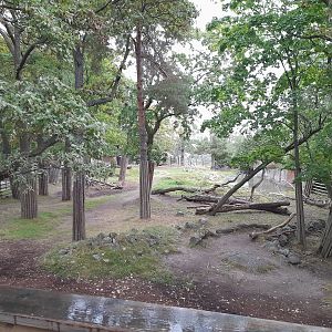 One of the two Eurasian moose enclosures