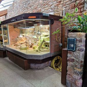 Reptile house tank