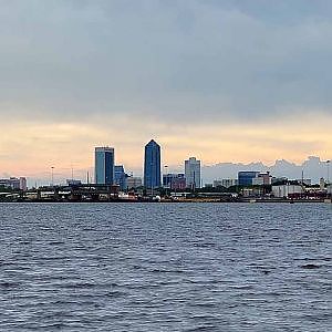 Birds & A Boat Cruise! - YouTube