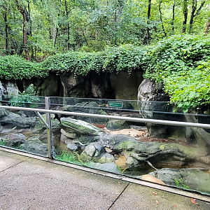 Aug. 2022 - North America: Streamside - River Otter Exhibit