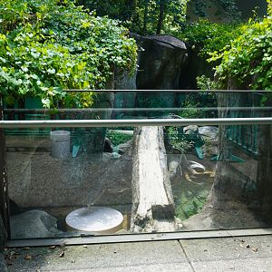 Aug. 2022 - North America: Streamside - River Otter Exhibit