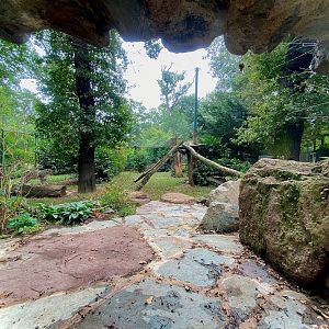 Zoo Magdeburg- snow leopard enclosure- 2022