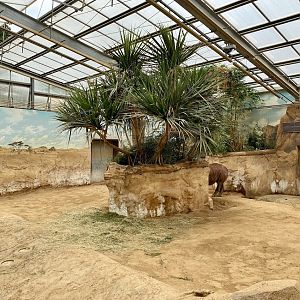 Zoo Magdeburg- rhino indoor enclosure- 2022