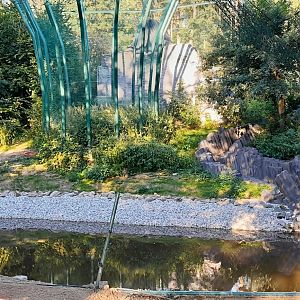"Great Donut Aviary" under construction