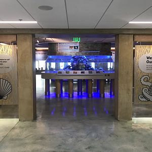 Lower Level - Entrance