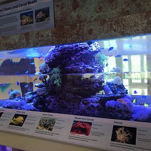 Lower Level - Entrance Tank