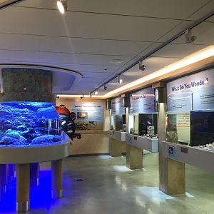 Lower Level - Entrance