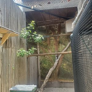 Pelican Harbor - Great Horned Owl enclosure