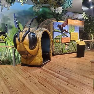 Daggerwing Nature Center