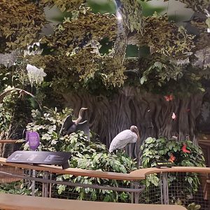 Daggerwing Nature Center