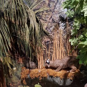 Daggerwing Nature Center