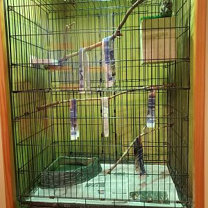 Daggerwing Nature Center - Screech Owl enclosure