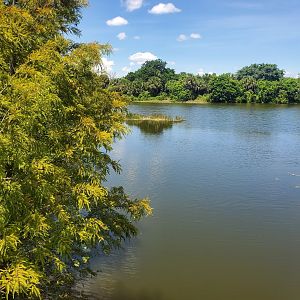 Daggerwing Nature Center - Outside view