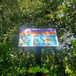 Daggerwing Nature Center - Local birds sign