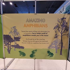 Children's Museum CT - Amazing Amphibians maze entrance