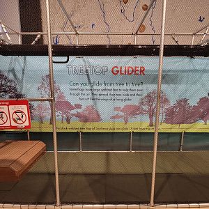 Children's Museum CT - Amazing Amphibians maze glider