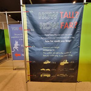 Children's Museum CT - Amazing Amphibians maze leap chart