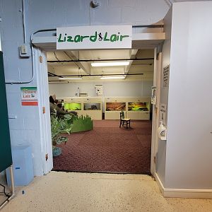 Children's Museum CT - Lizard Lair