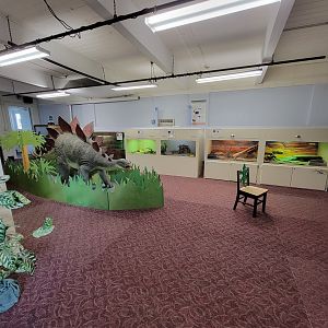 Children's Museum CT - Lizard Lair