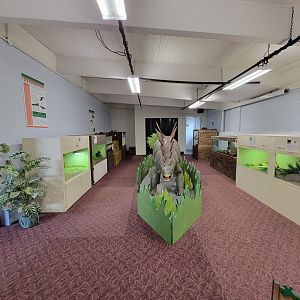 Children's Museum CT - Lizard Lair