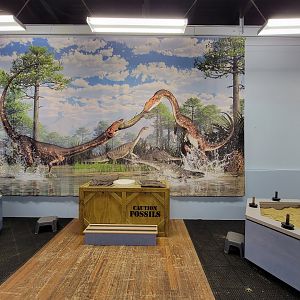 Children's Museum CT - Dinos in Your Backyard