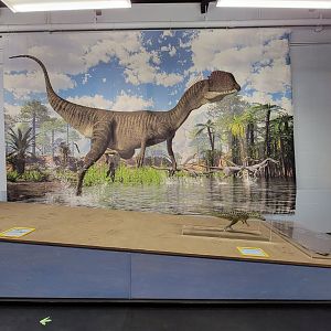 Children's Museum CT - Dinos in Your Backyard