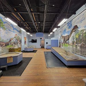 Children's Museum CT - Dinos in Your Backyard
