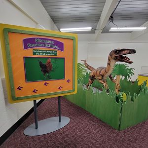 Children's Museum CT - Dinos in Your Backyard
