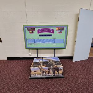 Children's Museum CT - Dinos in Your Backyard