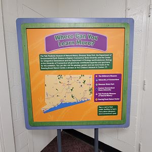 Children's Museum CT - Dinos in Your Backyard, where you can learn more