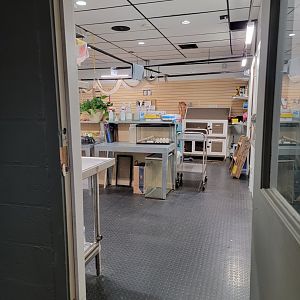 Children's Museum CT - Wildlife Sanctuary BTS room