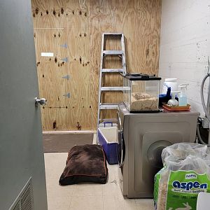 Children's Museum CT - Wildlife Sanctuary laundry room