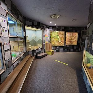 Children's Museum CT - Wildlife Sanctuary pathway