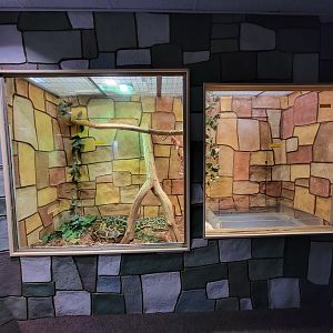 Children's Museum CT - Wildlife Sanctuary Burmese python