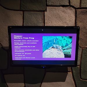 Children's Museum CT - Wildlife Sanctuary random electronic sign with all (?) the species