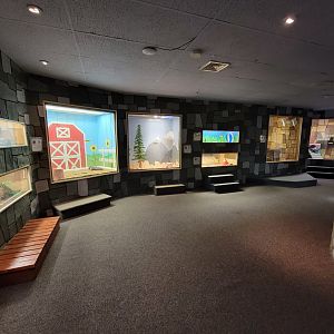 Children's Museum CT - Wildlife Sanctuary path