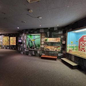 Children's Museum CT - Wildlife Sanctuary looking back at snake exhibits