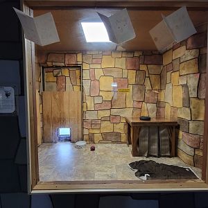 Children's Museum CT - Wildlife Sanctuary bobcat indoor area