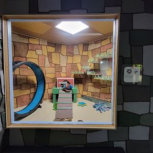 Children's Museum CT - Wildlife Sanctuary Virginia opossum