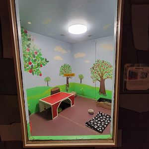 Children's Museum CT - Wildlife Sanctuary rabbits