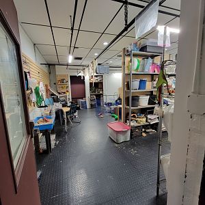 Children's Museum CT - Wildlife Sanctuary another BTS room