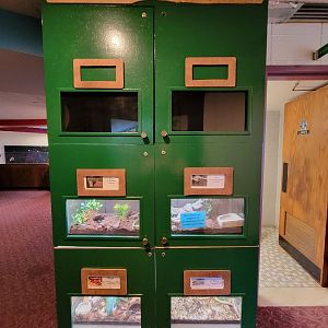 Children's Museum CT - "Amphibians"