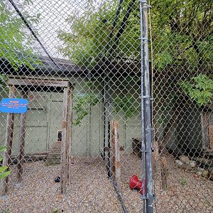 Children's Museum CT - bobcat outdoor area