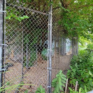 Children's Museum CT - bobcat outdoor area