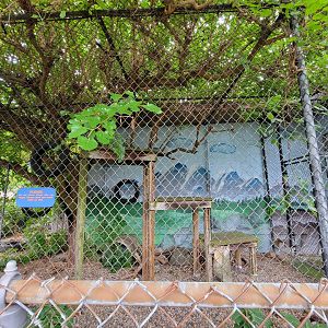 Children's Museum CT - bobcat outdoor area