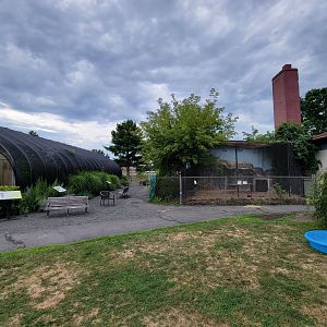 Children's Museum CT - Butterfly building (left), coyote (right)